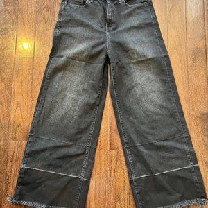 Banana Republic Wide Leg Crop Jeans Size 29